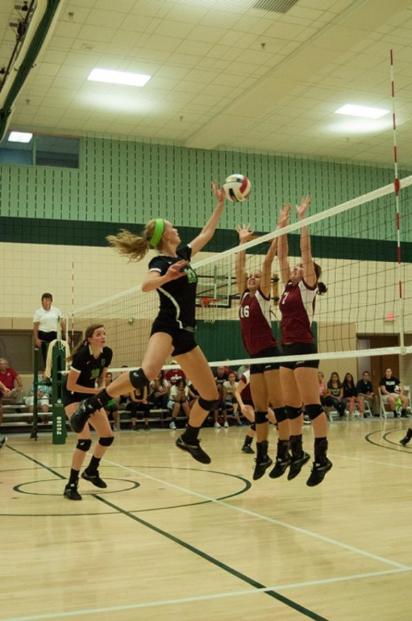 Volleyball gains momentum with four-game winning streak