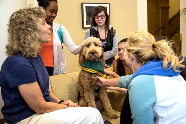 Therapy dogs visit campus