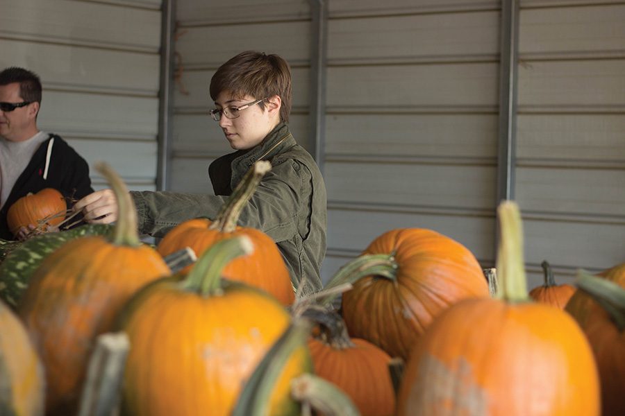 Lucy Pierson, junior dance major, looks at a selection of pumpkins at the Sheon Harvest Festival on Sunday 23. 