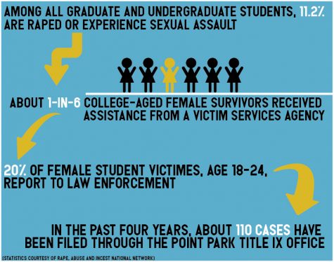 Mental health concern for victims of sexual abuse