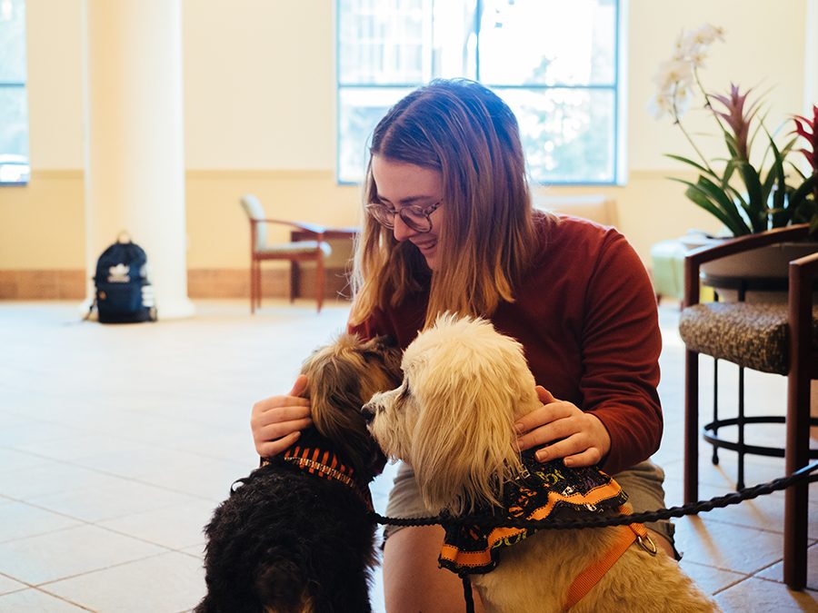 Campus Canines in Lawrence Hall Lobby October 3, 2019 in Pittsburgh, Pennsylvania. (Photo by Jared Murphy)