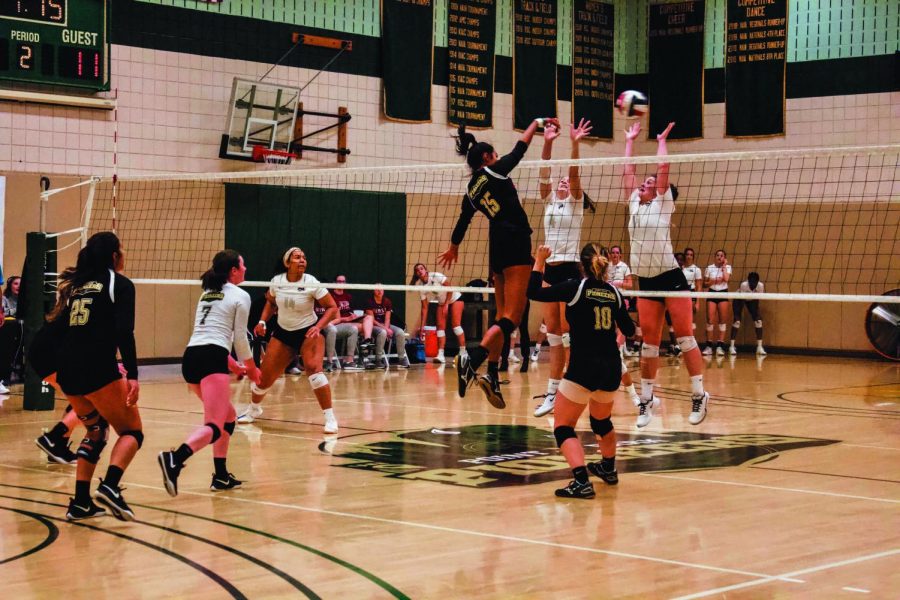 Junior Jazlyn Rozier goes up for a kill against Ohio Christian University on Saturday. Saturday was also Point Park’s Senior Day.
