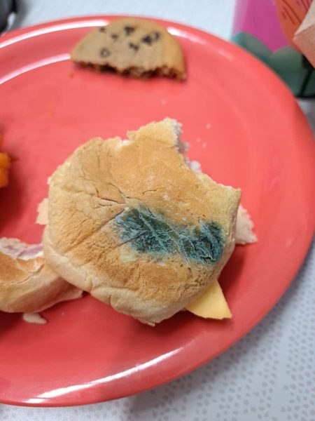 A sandwich from the dinging hall covered in mold earlier this month. Students shared other concerns in SGA’s food survey
which was released this week.