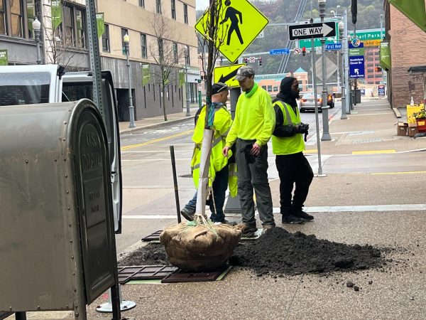 Pittsburgh Downtown Partnership revitalizes empty tree pits on campus
