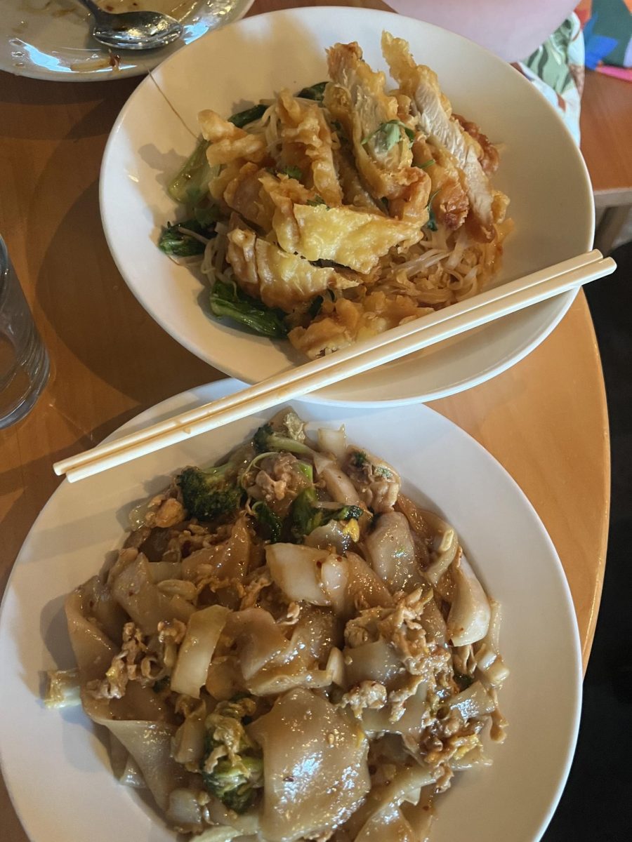 (top) Street noodle one, (bottom) see yew noodles with level two spice. 