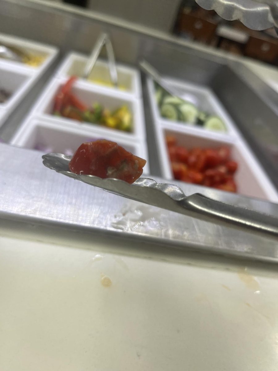 A red pepper appearing to be moldy in the salad bar of the Dining Hall. The picture was taken Sept. 24.