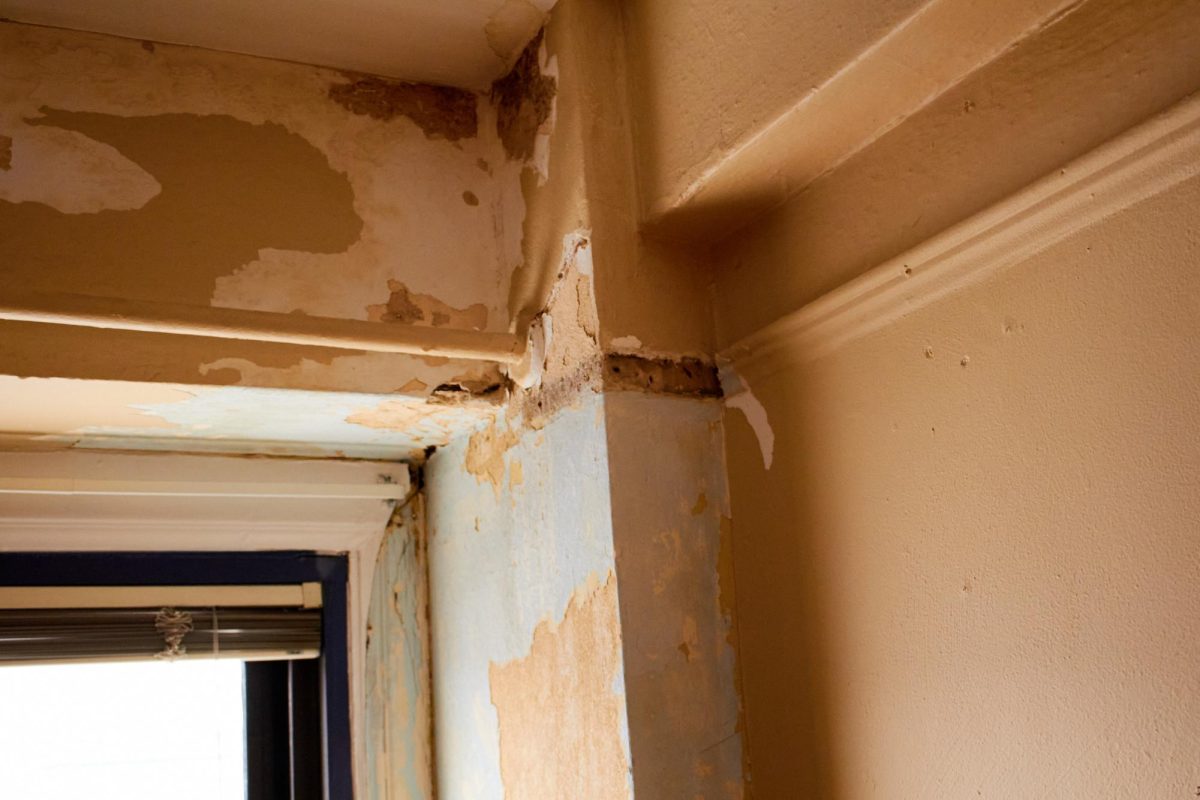 Water damage revealed several old layers of paint, such as a sky blue.