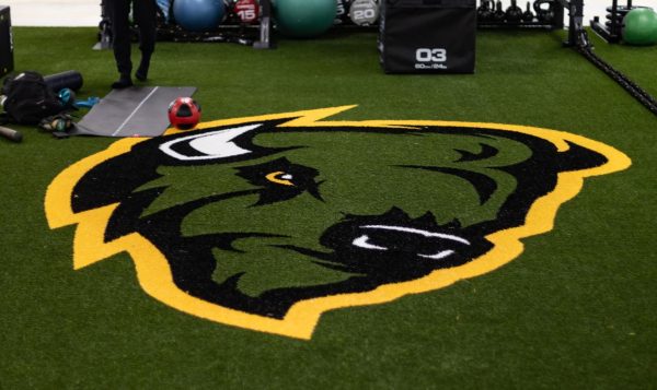 The Point Park fitness center underwent renovations this summer to accommodate new student-athletes. The primary room upgraded to turf flooring featuring a custom Pioneer logo. 