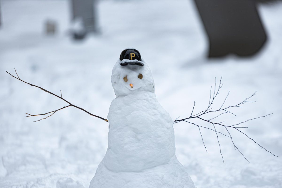 A snowman in Village Park sports a Pittsburgh Pirates Bucs’ cap on Monday, Jan. 26.