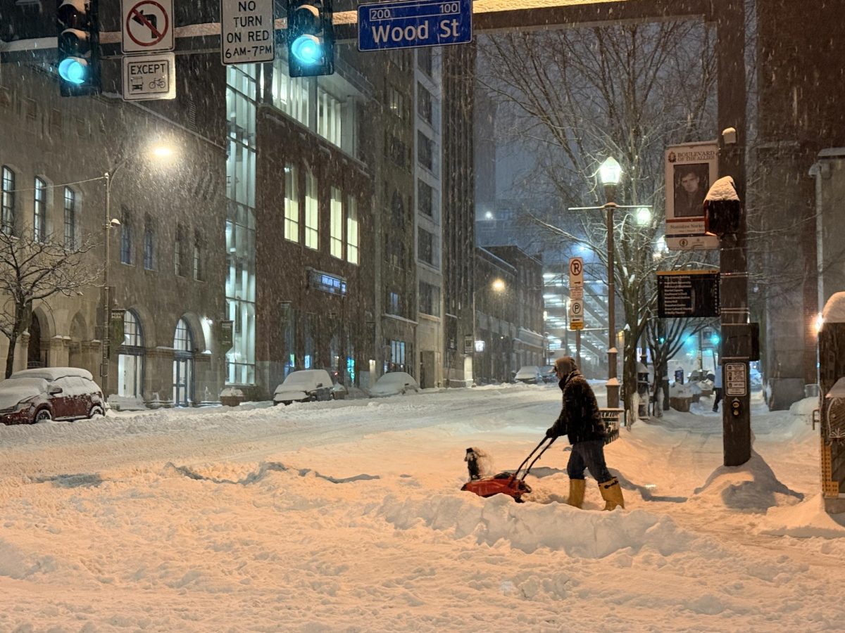 A Velociti employee uses a snowblower to clear snow off sidewalks on Point Park's campus on Jan. 25.