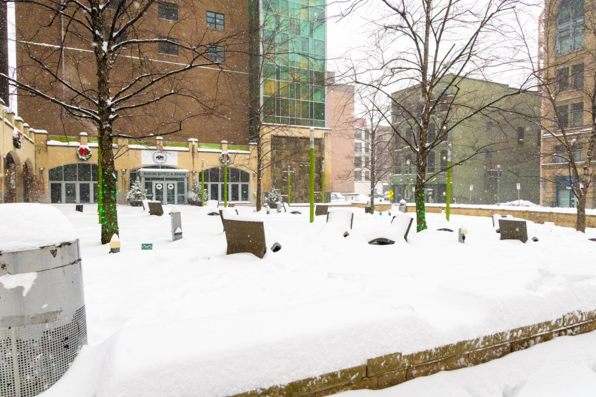 Village Park after the storm, on Sunday afternoon, Jan. 25. Pittsburgh saw a record 11.2 inches, and Mayor Corey O’Connor declared a state of emergency.