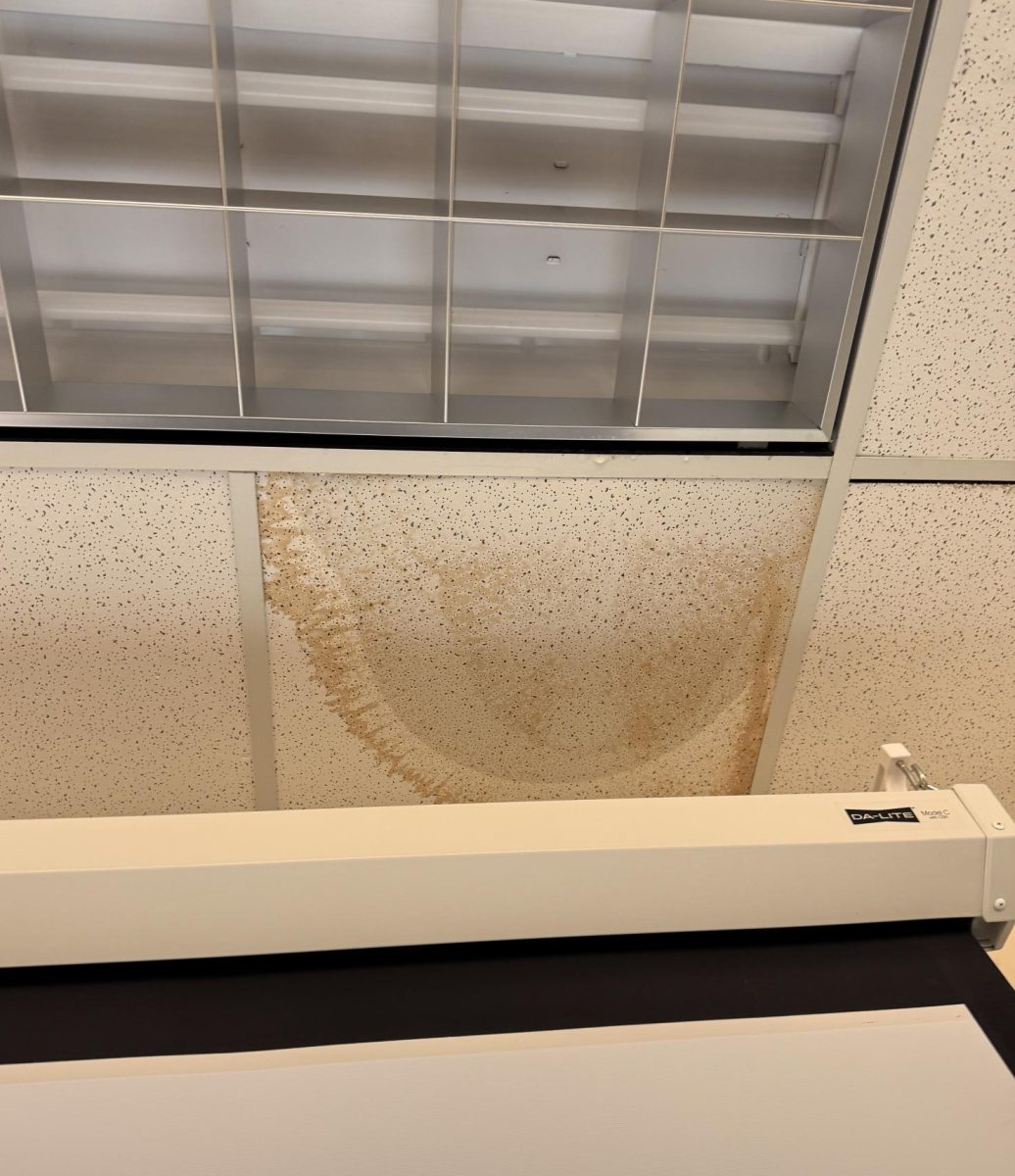 A leaking ceiling tile in Academic Hall room 603 waits to collapse with water pooling onto it.